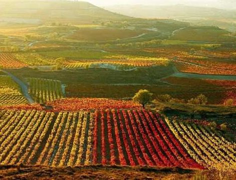 Peer Review Report - La Rioja