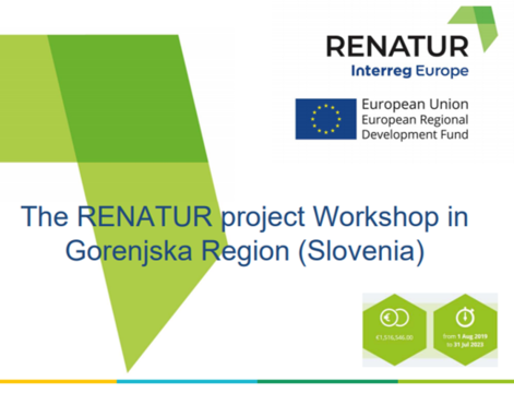 Creating synergies with the IE project RENATUR