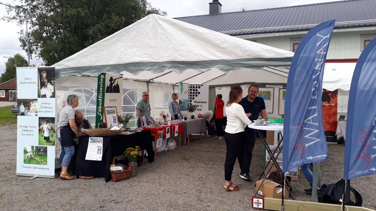 Dissemination activity in Trönö (Söderhamn)