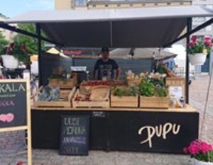 Farmer standing behind his vegetables stall at a market