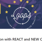 LOOPS#4: A discussion with REACT and NEW COTTON!