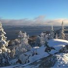 Study visit to North Karelia, Finland