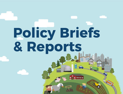 Policy Briefs & Reports