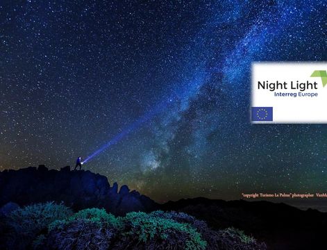 NightLight Newsletters