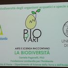 3rd party event: FLA & University of Pavia