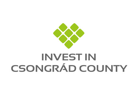 First results of the investment promotion activity 
