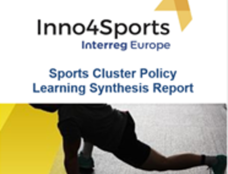 Sports Cluster Policy Learning Synthesis Report