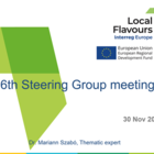 6th Steering Group meeting