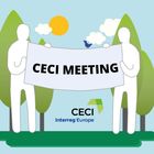 CECI Project web meeting