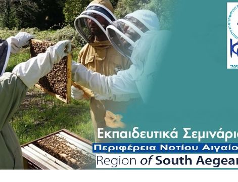 Beekeeping training in the South Aegean Region