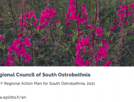 Regional Council of South Ostrobothnia Action Plan