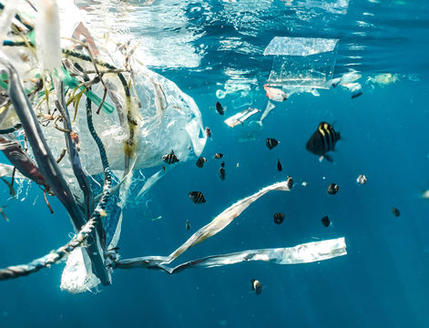 FRANCE : South region's commitment to zero plastic
