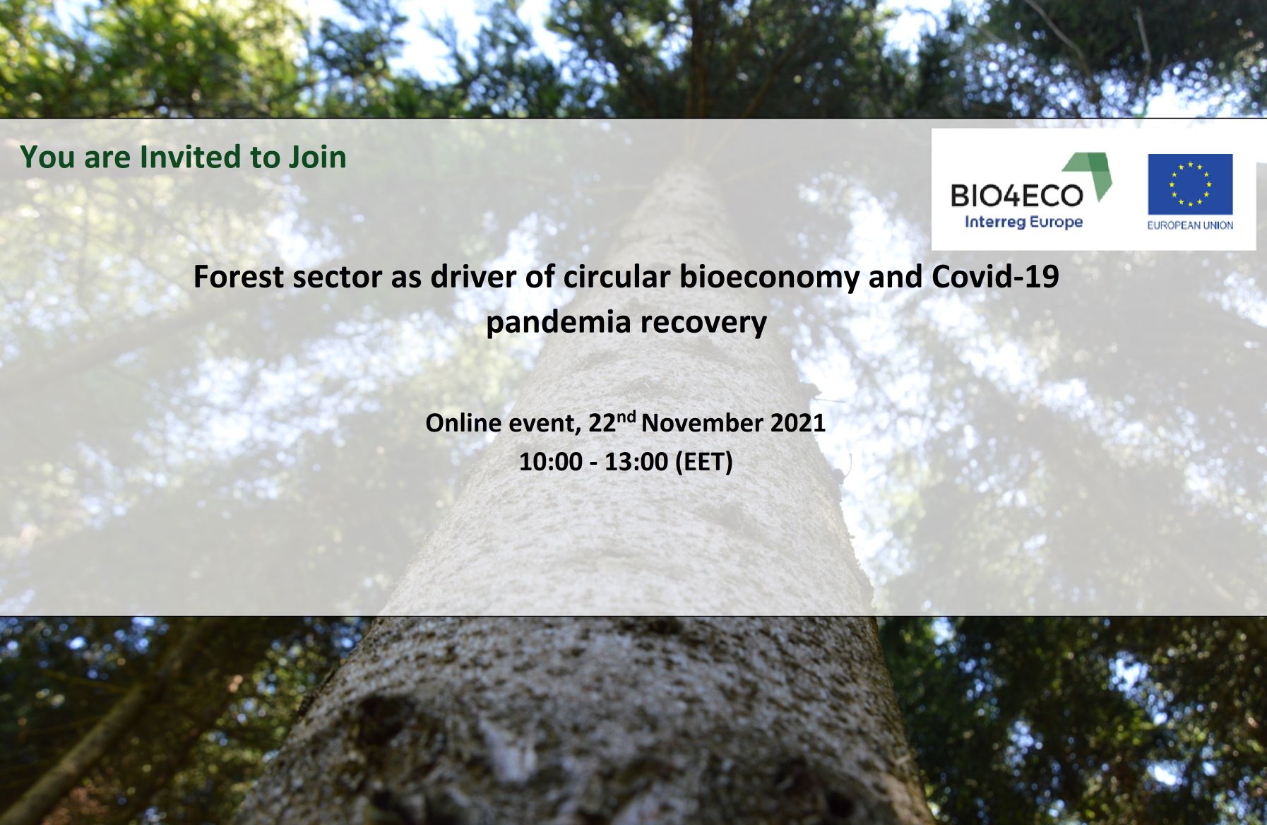 Forest sector as driver of circular bioeconomy 