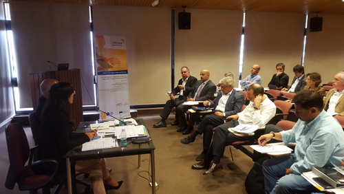 HoCare: IDE brings together stakeholders in Madeira 