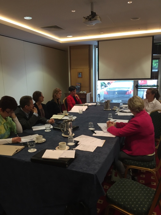 TRINNO: Local Stakeholder Group in Ireland