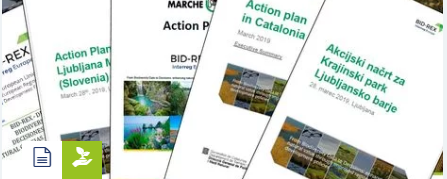 Regional Action Plans published