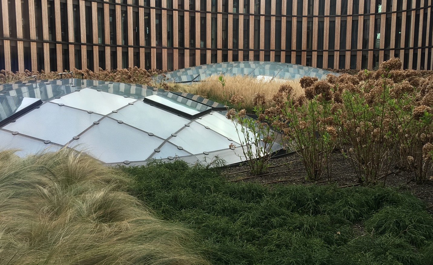 What are the benefits of green roofs? 