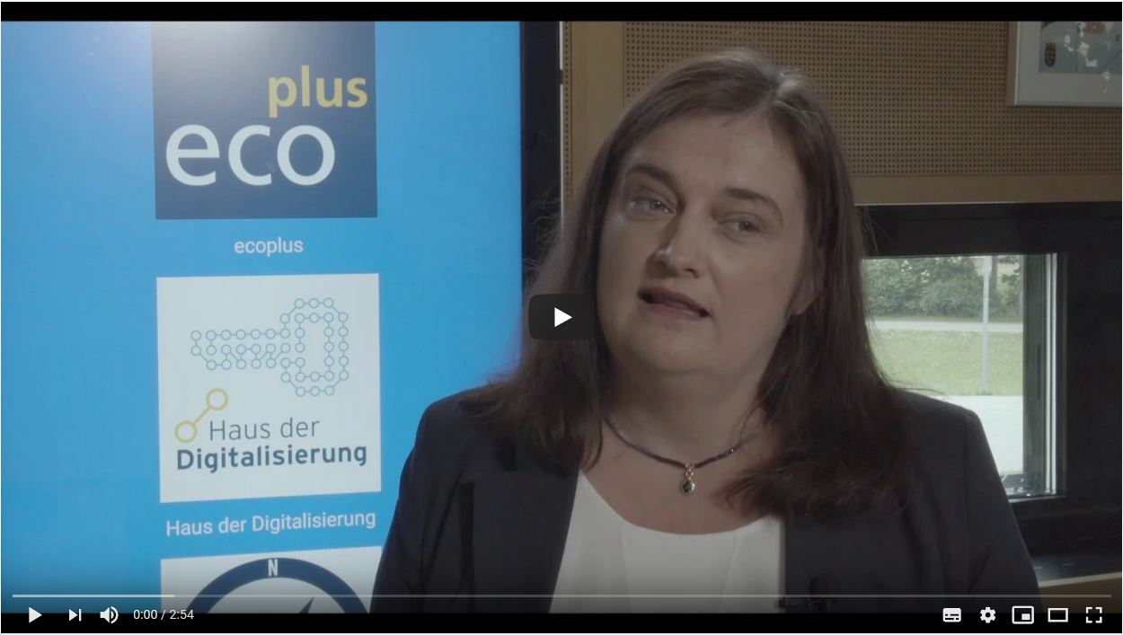 Covid-19 actions and digitalisation in Lower Austria