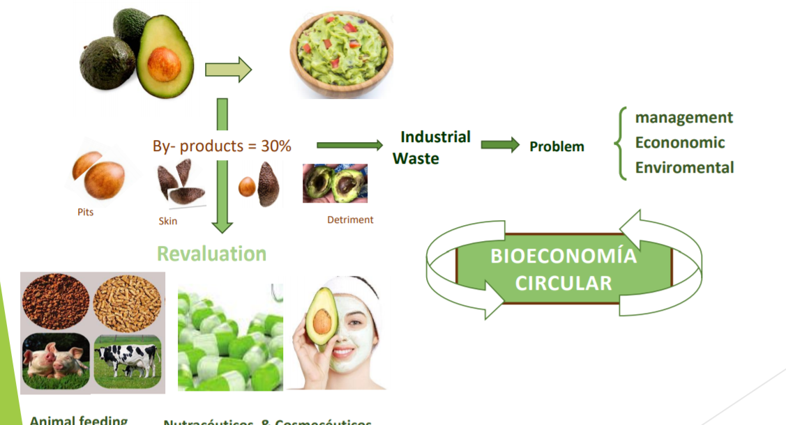 The circular economy of the avocado