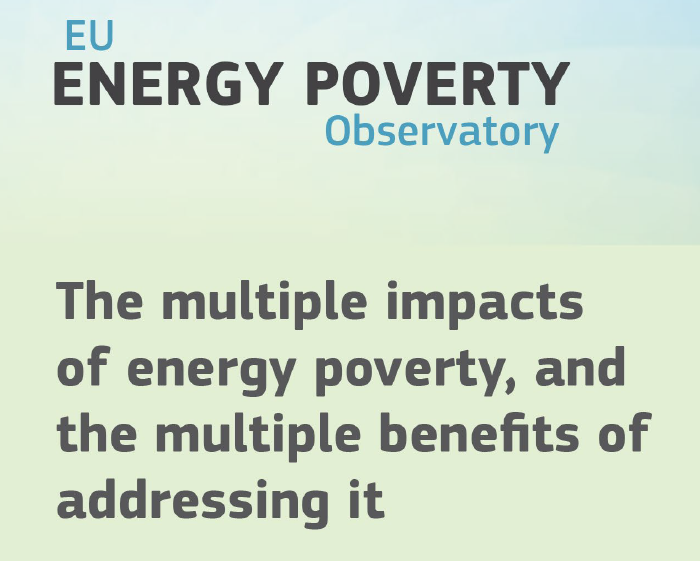 Multiple impacts of energy poverty (EPOV)