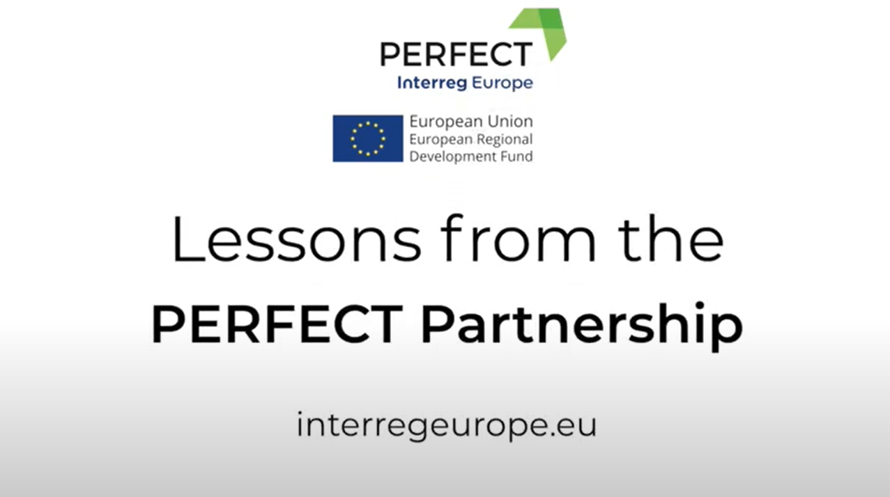 Lessons from the PERFECT partnership video 