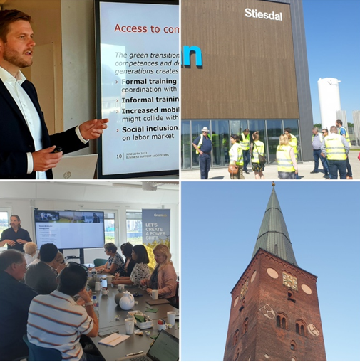 EIS project holds its final workshop in Aarhus