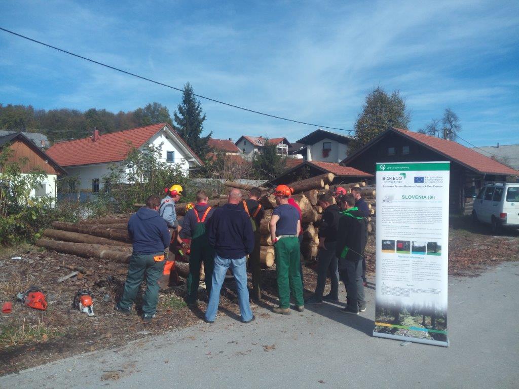 Workshops in Slovenia 