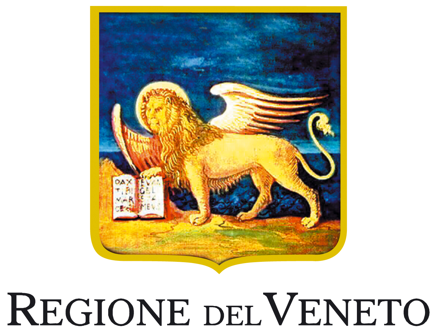 Action Plan progress in Veneto Region 