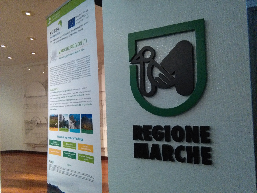 Marche Region stakeholders action plan