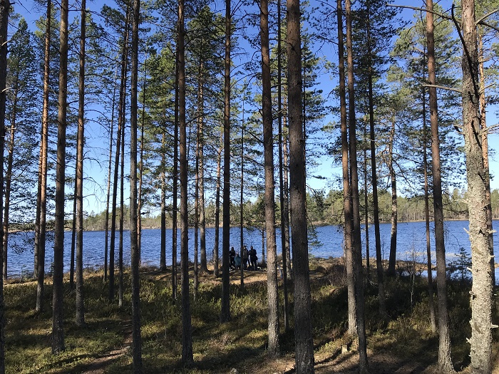 P-IRIS: Study visit on ICT in Finland  