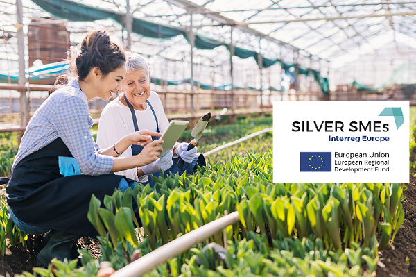 SILVER SMEs has been launched !