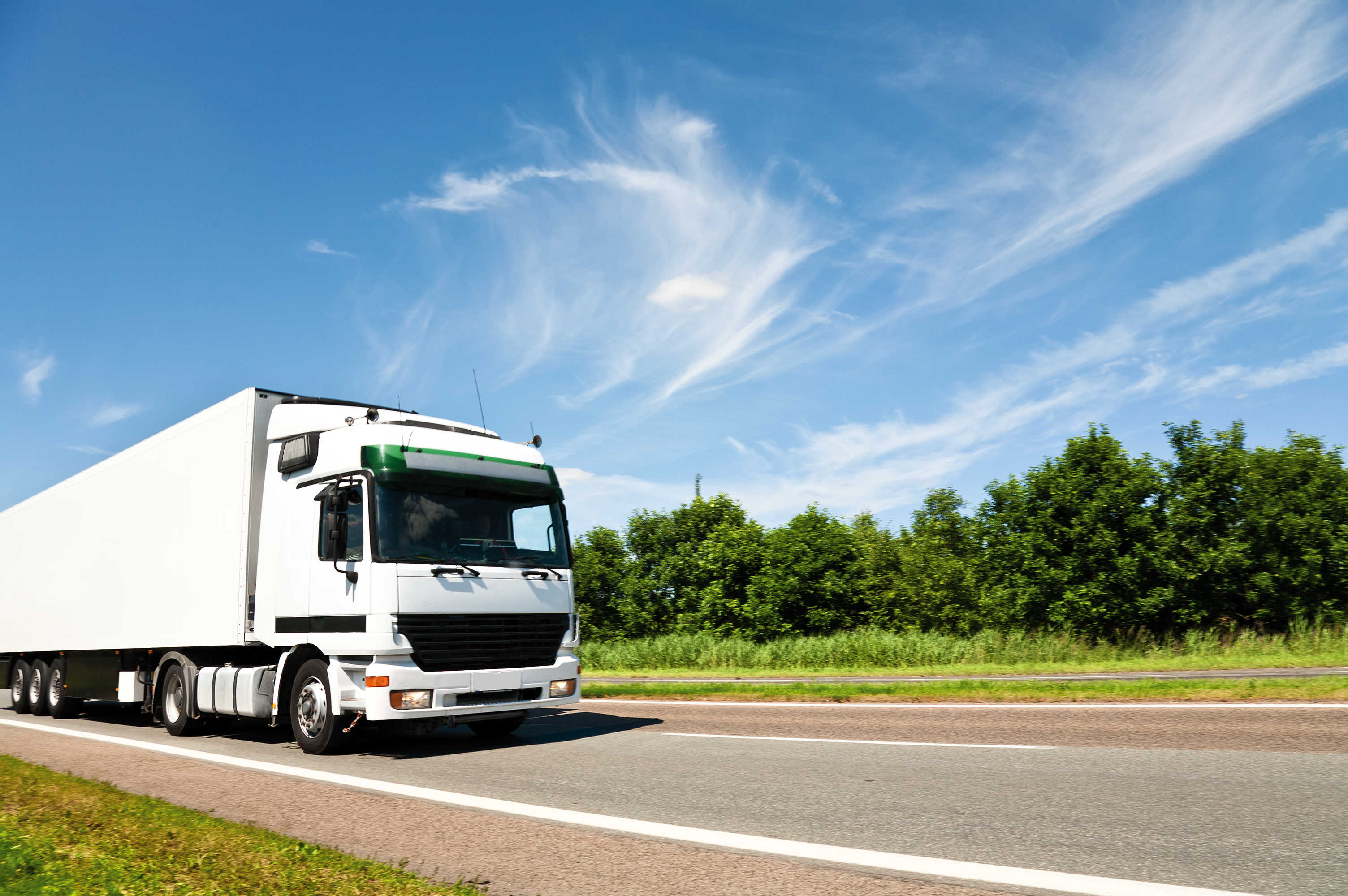 Future of freight transport? EV and autonomous