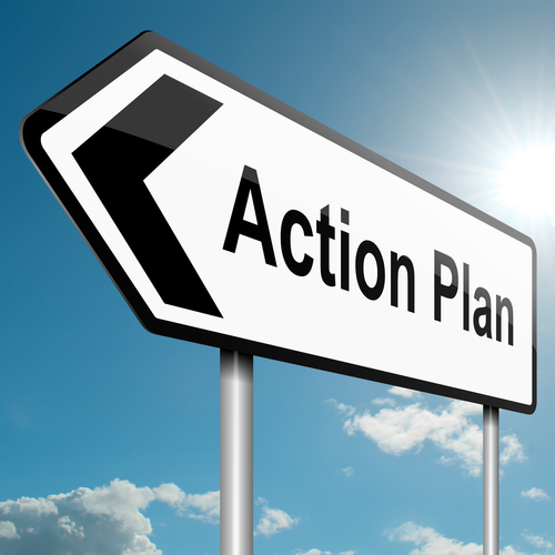 The road to an action plan