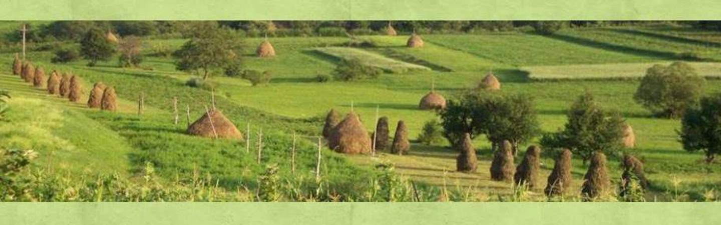 The 4th Peer Review, in Maramures is approaching!