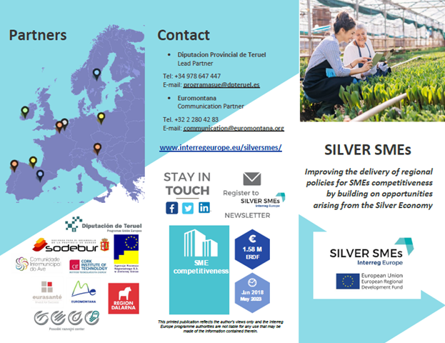 New SILVER SMEs project brochure!