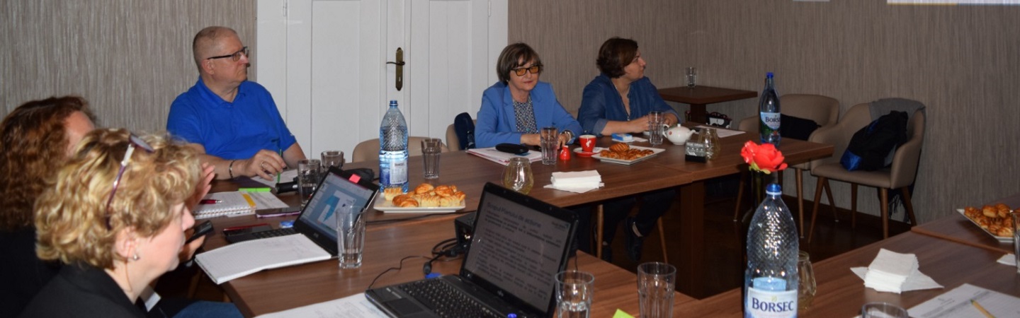 Romania: 9th Meeting with Stakeholders