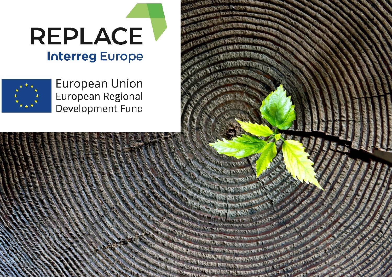 Registrations are open for REPLACE @ EESC