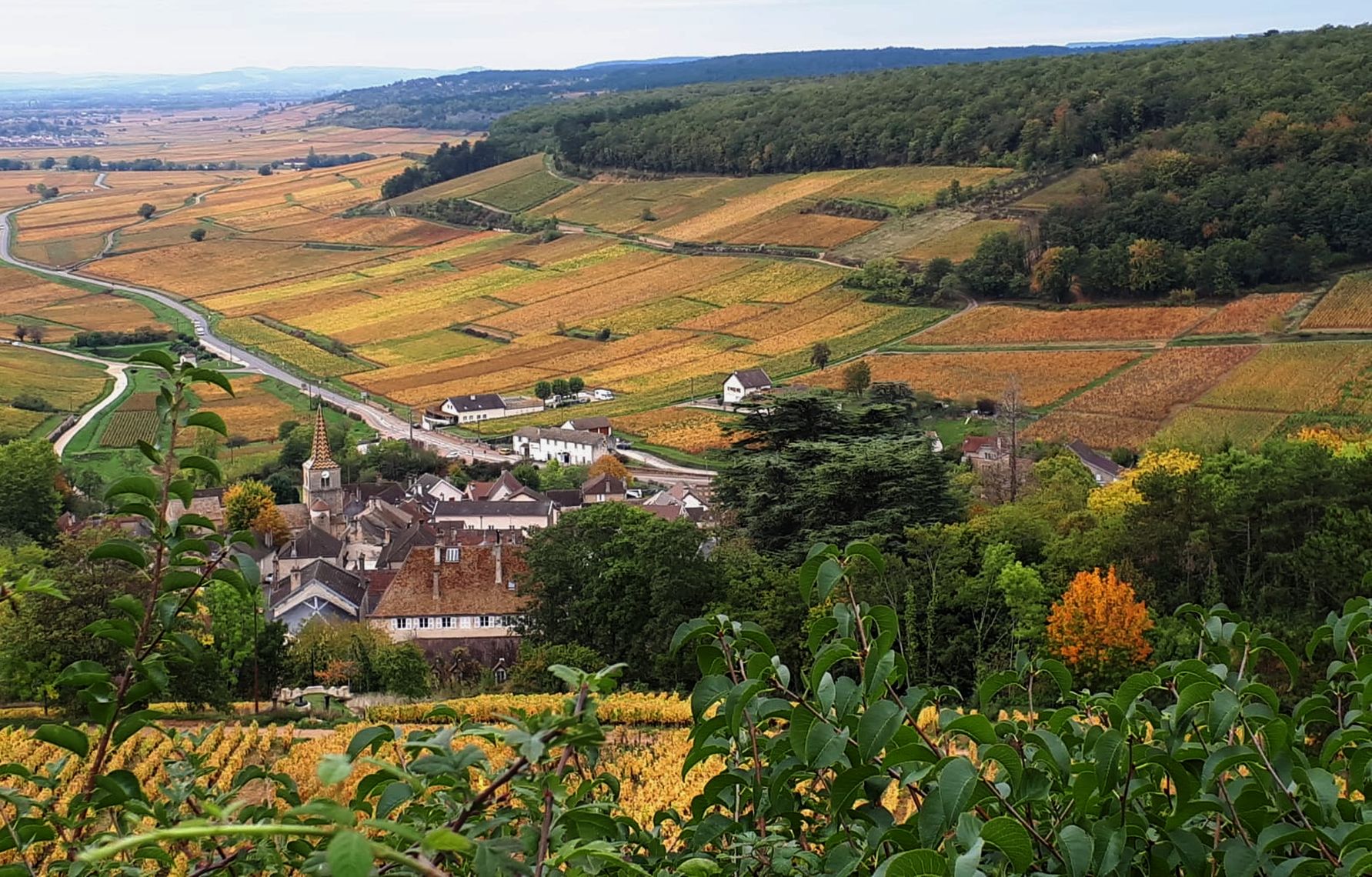 MEET PROJECT PARTNERS Burgundy-Franche-Comté Region