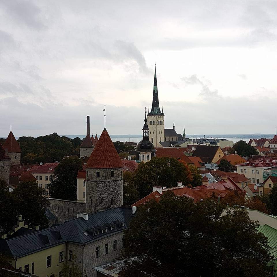 Tallinn sets out to implement its action plan