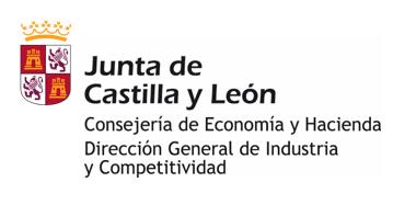 Action Plan of Castilla y Leon - implementation