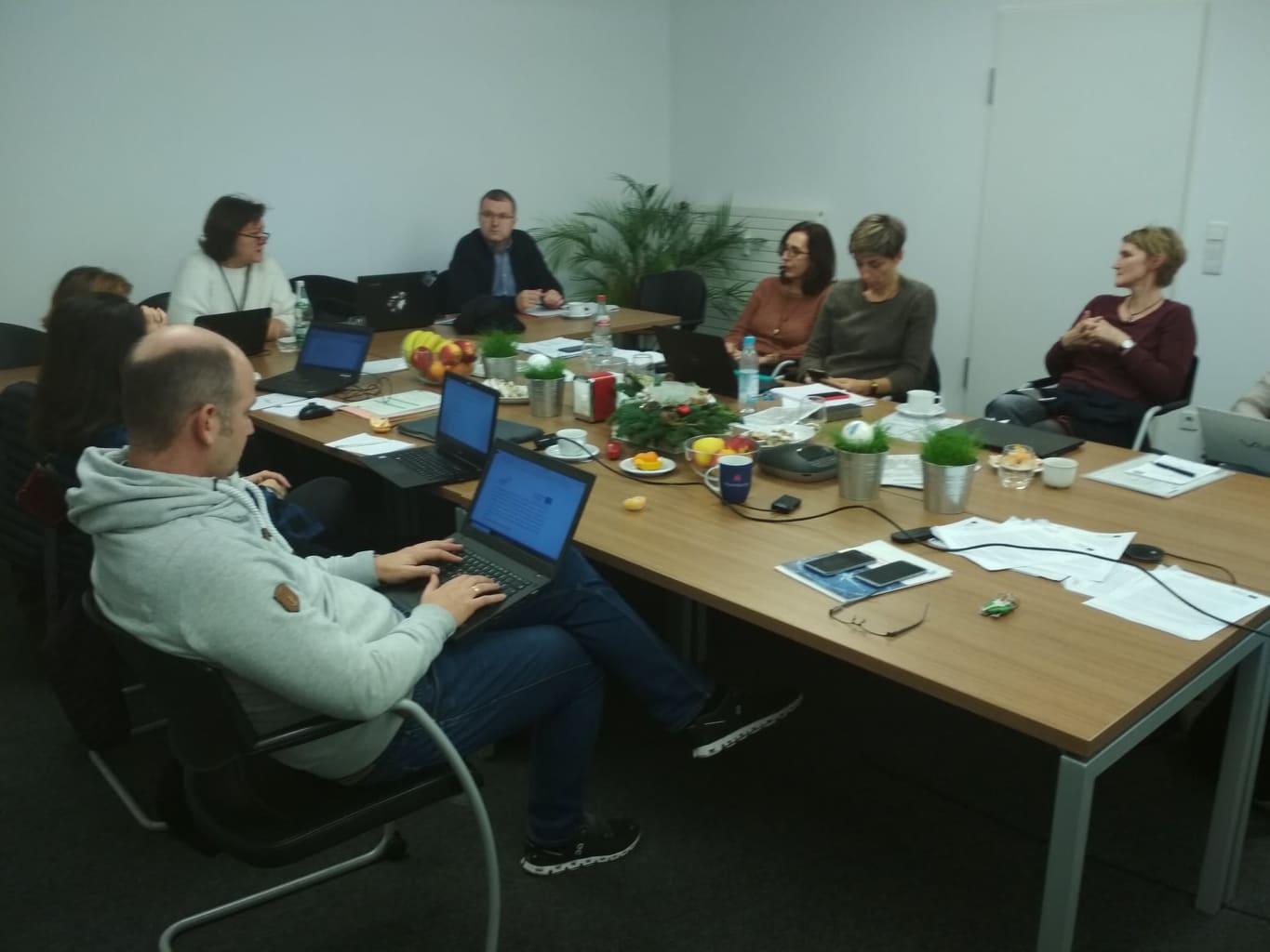 The last project meeting of phase 1
