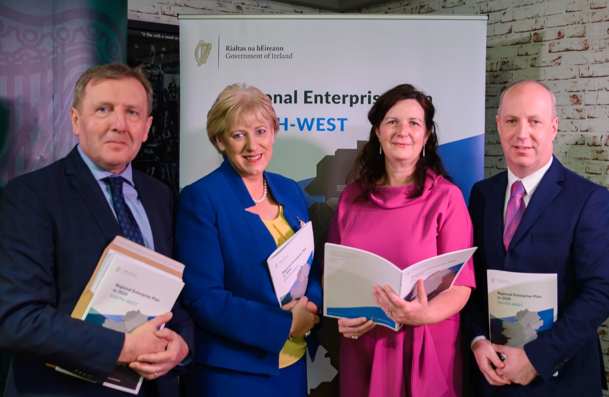 Irish Regional Enterprise Plans 