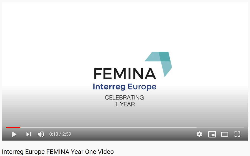 FEMINA Year one Video