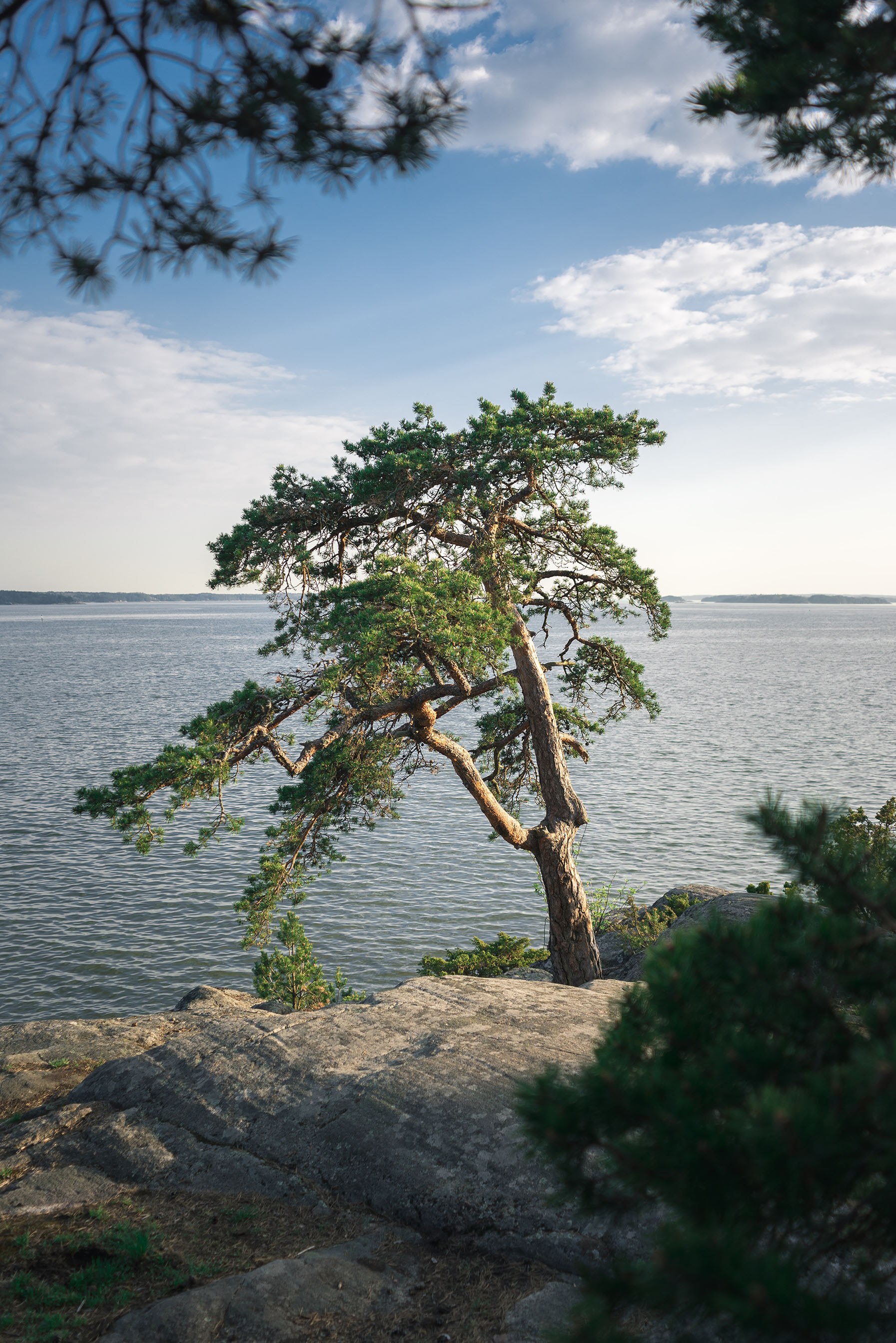 Southwest Finland in the eyes of Circular Economy