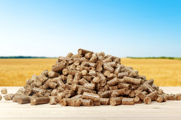 Untapped potential of biomass energy in Romania