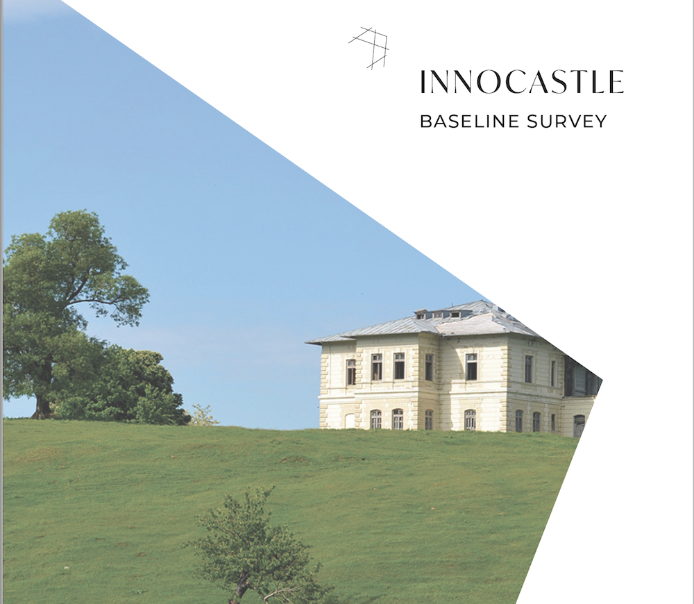 The Innocastle Baseline Survey