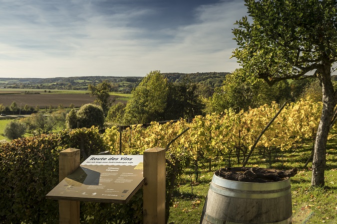 First signposted wine route launched in Netherlands!