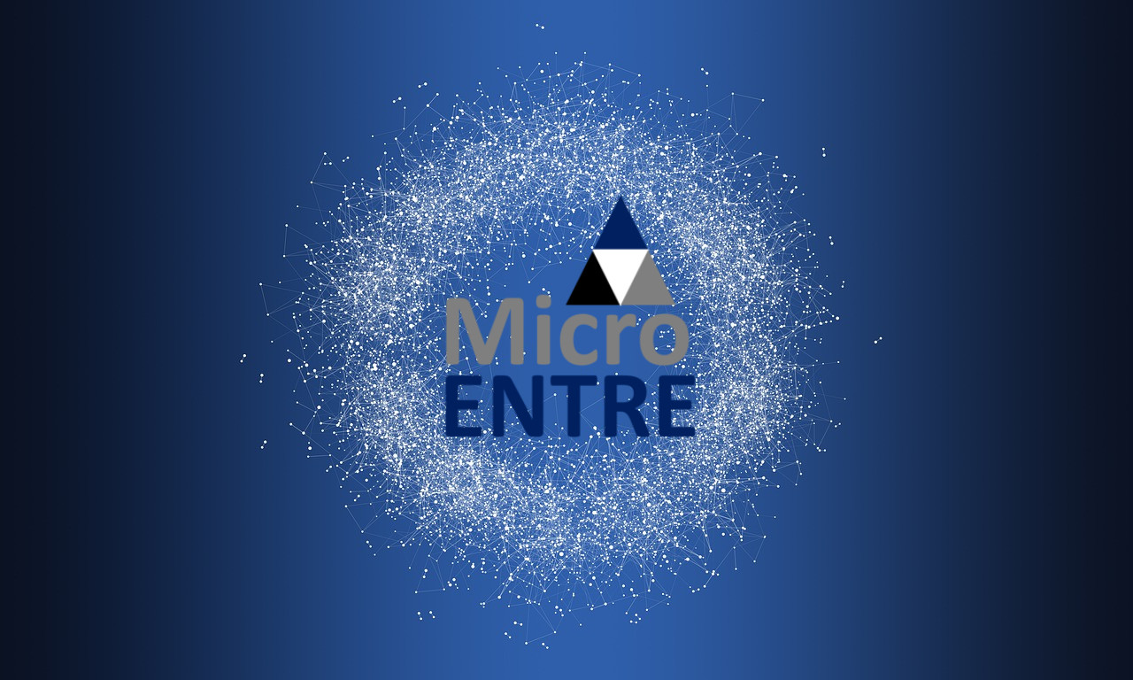 MicroENTRE Growth Network™