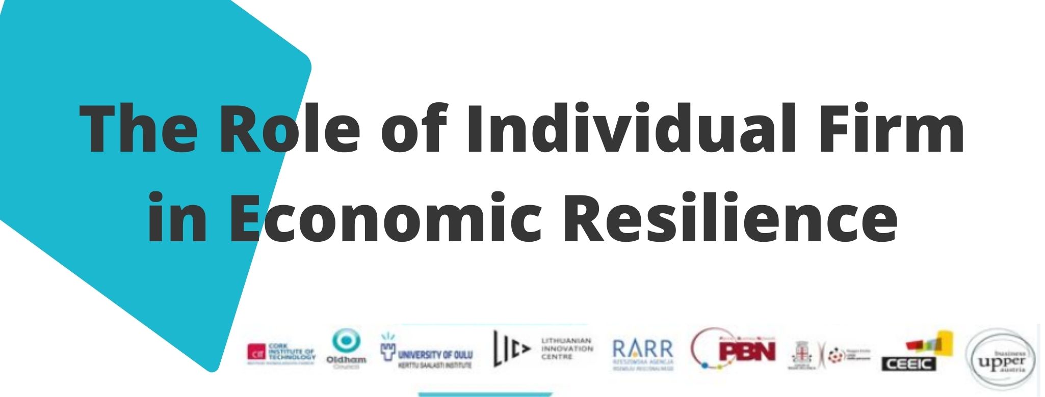 Summary - Individual Firms Economic Resilience
