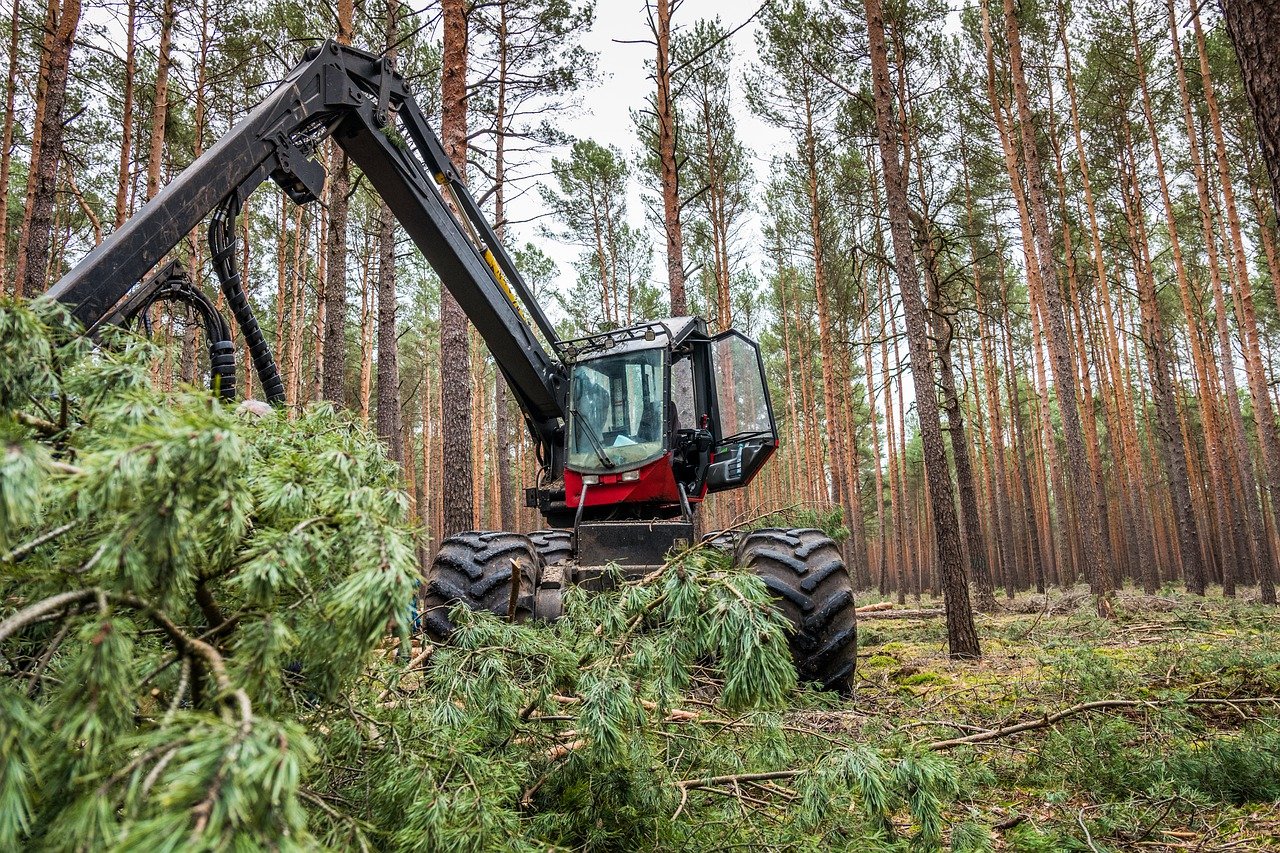 North Karelia’s success stories on renewable energy